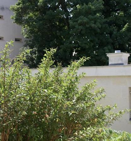 Ferienwohnung Le Petit Trianon, Parc Du Chateau Versailles Exterior foto